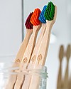 EcoLiving Spazzolino in Legno di Faggio - Verde - Certificato FSC Spazzolini