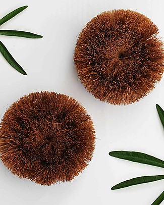 EcoLiving Spugne Naturali in Cocco EcoCoconut - pacco da 2 Detergenza Casa