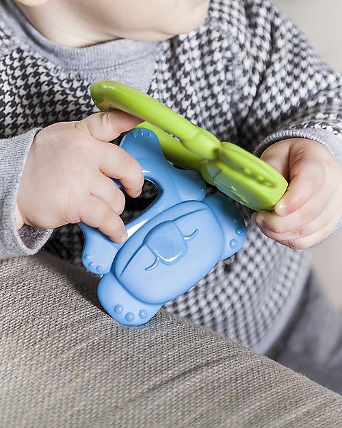 eKoala eKolly - Massaggiagengive Verde - Bioplastica Naturale, 100% Biodegradabile, Made in Italy Massaggiagengive