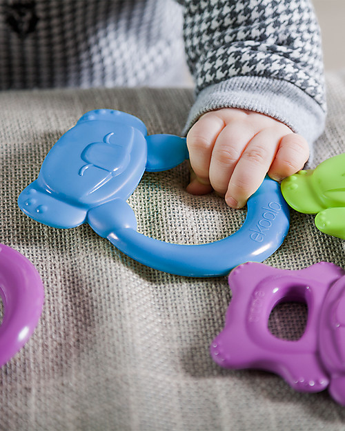 eKoala eKummy - Massaggiagengive ad Anello Azzurro - Bioplastica Naturale, 100% Biodegradabile, Made in Italy Massaggiagengive