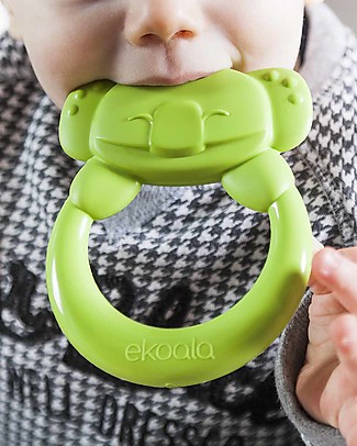 eKoala eKummy - Massaggiagengive ad Anello Verde - Bioplastica Naturale, 100% Biodegradabile, Made in Italy Massaggiagengive