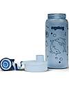 ergobag Borraccia con Apertura easy-to-drink - 500 ml - Delfino - Senza BPA Borracce non Termiche