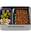 ergobag Contenitore Porta Pranzo in Acciaio Inox - Farfalle - 17x7x14 cm Contenitori Termici
