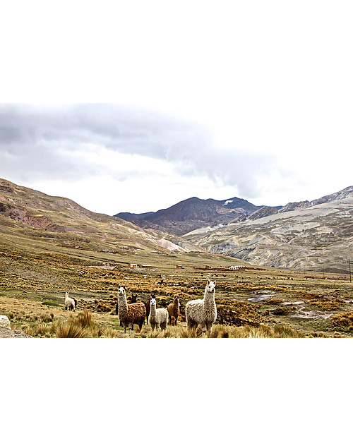 Esencia Maglione a Righe Avorio/Blu Navy - 100% lana di alpaca Maglioni