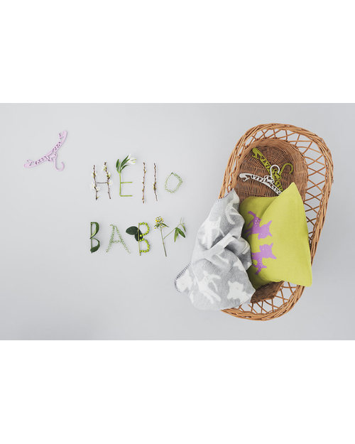 Fabulous Goose Baby Copertina Bambi - Grigio chiaro - Doubleface - 100% Cotone Spazzolato (Effetto Felpa: Morbido e caldo) 75 x 100 cm Swaddle di Mussola