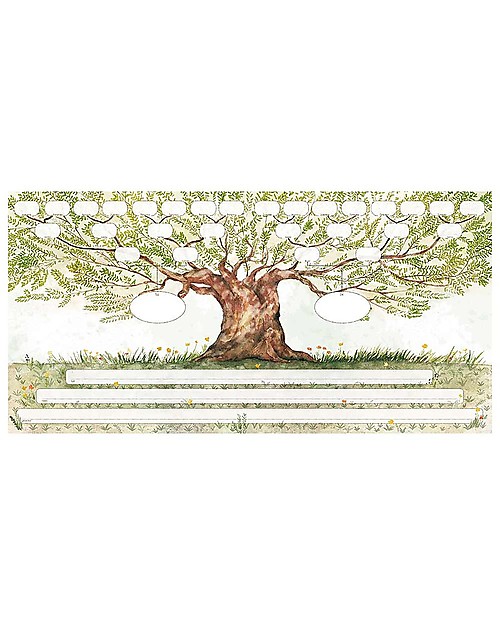 Familium Albero Familiare - Il Nostro Album per scrivere la storia della famiglia Libri