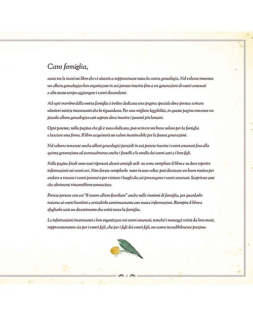Familium Albero Familiare - Il Nostro Album per scrivere la storia della famiglia Libri