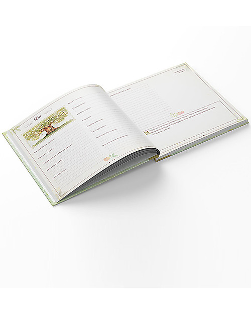 Familium Albero Familiare - Il Nostro Album per scrivere la storia della famiglia Libri