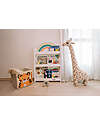 Family Nation Libreria Montessori Frontale - Rainbow - Sunny Beach Librerie Montessoriane