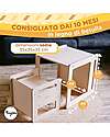 Family Nation OUTLET - Set Tavolo+Sedia Montessori Evolutivi - Natural - Legno di Betulla - Cresce Con Il Tuo Bambino Tavoli