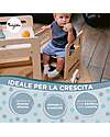 Family Nation Sedia Montessori Evolutiva - Natural - Legno di Betulla - Cresce Con Il Tuo Bambino Sedie