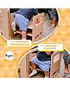 Family Nation Sedia Montessori Evolutiva - Natural - Legno di Betulla - Cresce Con Il Tuo Bambino Sedie
