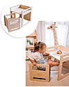 Family Nation Set Tavolo+Sedia Montessori Evolutivi - Natural - Legno di Betulla - Cresce Con Il Tuo Bambino Tavoli