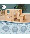 Family Nation Torre Montessori 3 in 1 - Natural - Lavagna Magnetica e Convertibile in Tavolo+Sedia Torri Montessoriane_