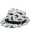 FlapJackKids Cappello Modello Fedora - Squali - New Design Cappelli Estivi