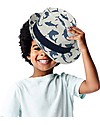 FlapJackKids Cappello Modello Fedora - Squali - New Design Cappelli Estivi