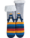 Frugi Calzini Cosy Up - Grigio/Pinguino - Maglia di Cotone Bio Calzini