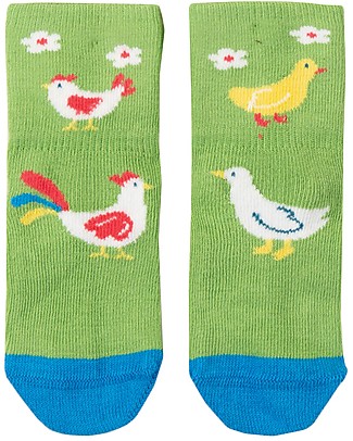 Frugi Calzini Perfect Little Pair Socks - Gallina/Kiwi - Cotone Bio Elasticizzato Calzini
