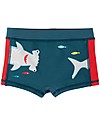 Frugi Costume da Bagno Tide - Squalo/Steely Blue - UPF 50+ Boxer Mare