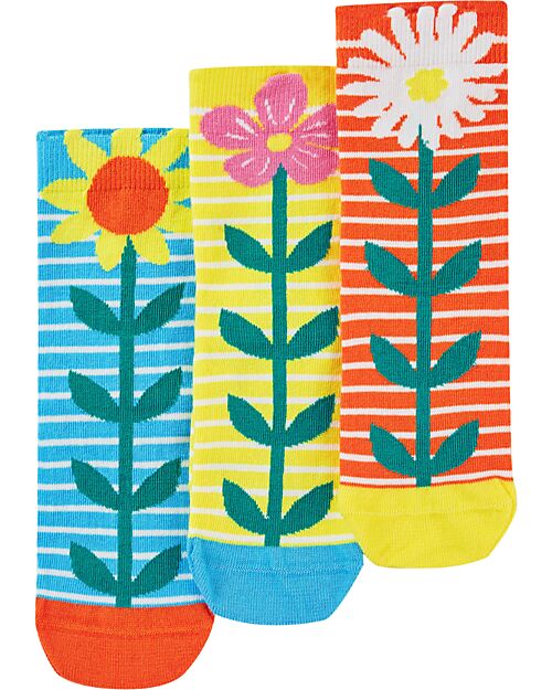 Frugi Pacco da 3 Calzini con Echinacea - Multicolore - Cotone Bio Calzini