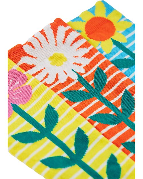 Frugi Pacco da 3 Calzini con Echinacea - Multicolore - Cotone Bio Calzini