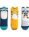 Frugi Set 3 Paia Calzini Paw-some Socks In a Box, Cosy Creatures - Cotone bio Calzini