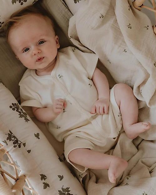 Garbo&Friends Riduttore per Bèbè - 35 x 65 x 16 cm - Blackberry - Cotone Percalle Riduttori Lettino