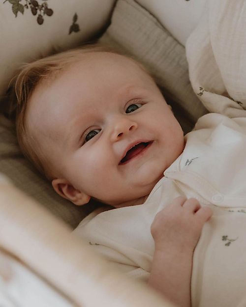 Garbo&Friends Riduttore per Bèbè - 35 x 65 x 16 cm - Blackberry - Cotone Percalle Riduttori Lettino