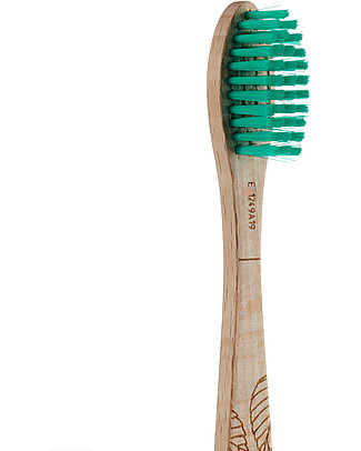 Georganics Spazzolino in Legno di Faggio - Setole Medie - Ecologico! Dentifricio e Spazzolini