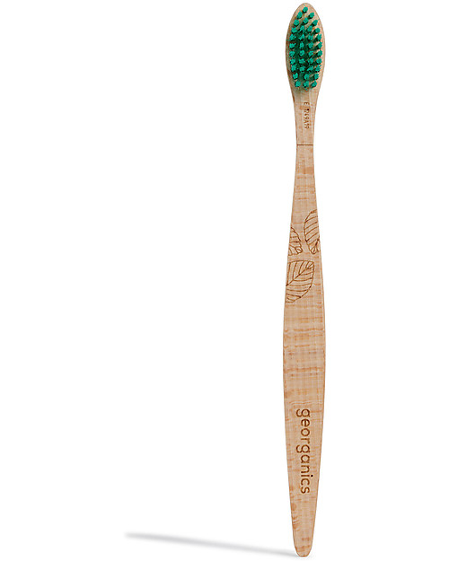 Georganics Spazzolino in Legno di Faggio - Setole Medie - Ecologico! Spazzolini