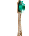 Georganics Spazzolino in Legno di Faggio - Setole Medie - Ecologico! Spazzolini