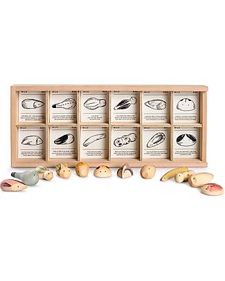 Grapat Raccoglitore con Animaletti in Legno - Wild - 12 pezzi Animali in Legno