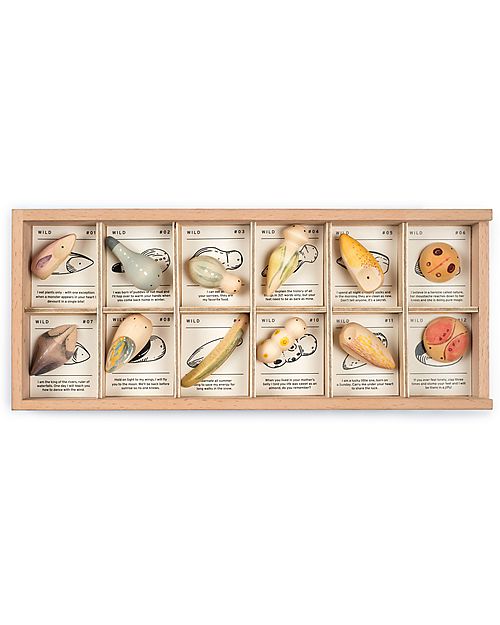 Grapat Raccoglitore con Animaletti in Legno - Wild - 12 pezzi Animali in Legno