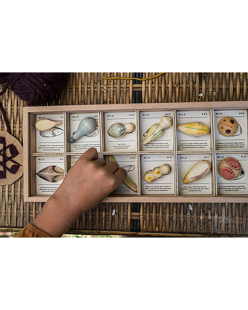 Grapat Raccoglitore con Animaletti in Legno - Wild - 12 pezzi Animali in Legno