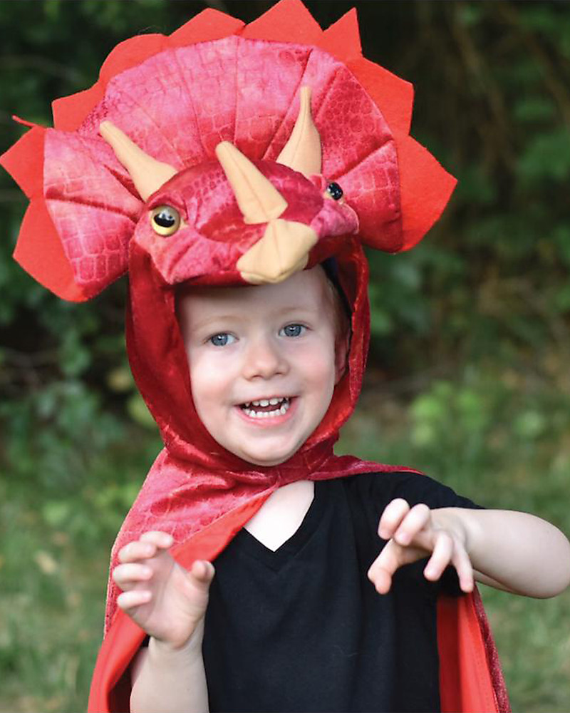 Costume da bambino di Halloween da leone, costume da neonato Costume di  Halloween per bambini prima taglia 6-12 mesi. -  Italia