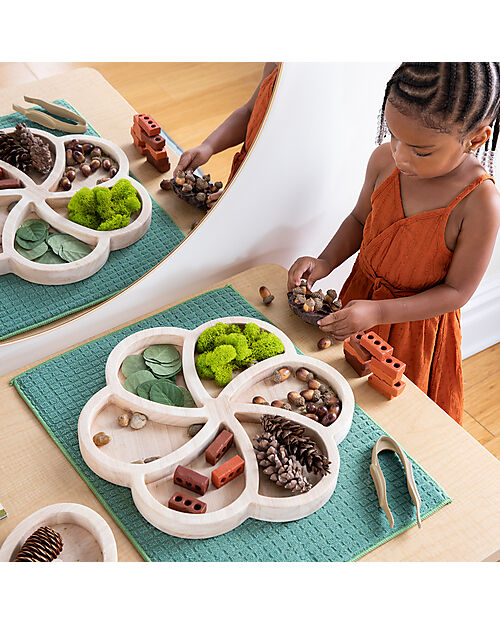 Guide Craft Gioco 3 Vassoi di Smistamento - Naturale - Classifica e Suddividi gli Oggetti Giochi Sensoriali_