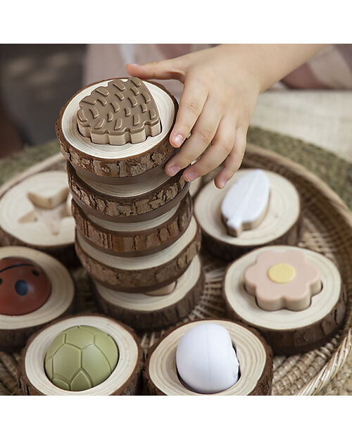 Guide Craft Gioco Nature Feel and Find - 24 Pezzi - Natura e le Sue Forme Giochi Sensoriali_