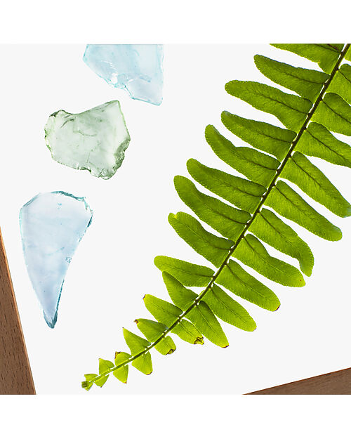 Guide Craft Pannello LED Attività - 38x48cm - Scopri Luci Colori e Attività Scientifiche e Sensoriali Giochi Sensoriali_