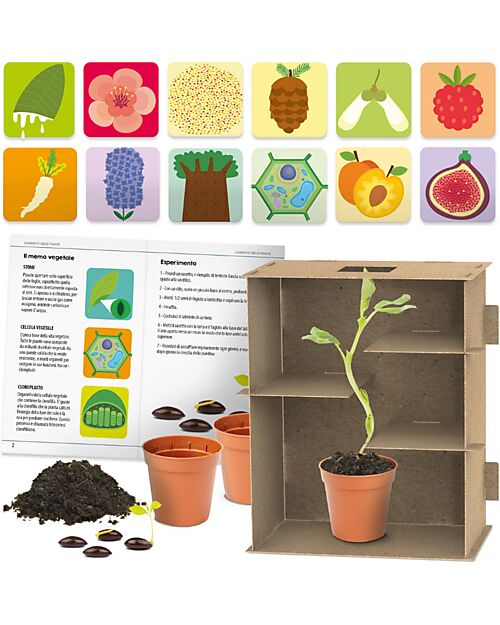 Headu Labirinto delle Piante - Intelligenza Naturalistica - Labirinto da Costruire Giochi da Tavolo