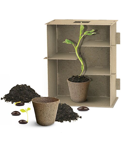 Headu Labirinto delle Piante - Intelligenza Naturalistica - Labirinto da Costruire Giochi da Tavolo