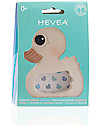Hevea Massaggiagengive Naturale Kawan - 100% Gomma Naturale (dipinto con pigmenti vegetali!) Massaggiagengive