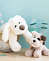Histoire D'Ours Peluche Cane Cookie - 40 cm - Tenero e Morbidoso! Peluche
