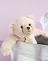 Histoire D'Ours Peluche Orso Calin Beige - 25 cm - Scatola Regalo Peluche