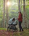 Inglesina Aptica XT System Quattro - Igloo Grey - Passeggino + Culla Standup + Seggiolino Auto Darwin Recline Passeggini Trio e Duo