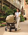 Inglesina Electa System Quattro - Dumbo Caramel - Passeggino + Culla Standup + Seggiolino Auto Darwin Recline Passeggini Trio e Duo