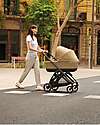 Inglesina Electa System Quattro - Dumbo Caramel - Passeggino + Culla Standup + Seggiolino Auto Darwin Recline Passeggini Trio e Duo
