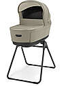 Inglesina Electa System Quattro - Hangar Beige - Seduta All Season + Culla Open Up + Standup + Seggiolino Auto Darwin Recline Passeggini Classici