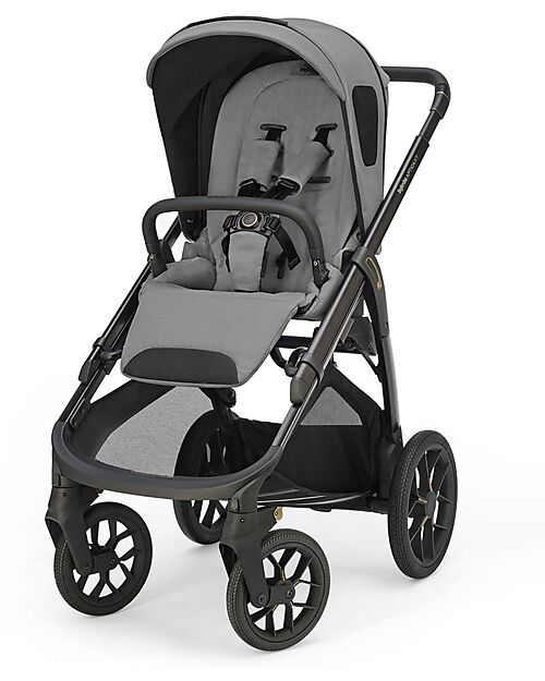 Inglesina Passeggino Aptica XT - Canyon Grey - Adatto a tutti i terreni Passeggini Classici