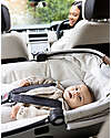 Joie Navicella Calmi R129  - Pine  -  Viaggia Anche in Auto con la i-Base Encore! Carrozzine e Navicelle