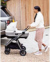 Joie Navicella Calmi R129  - Pine  -  Viaggia Anche in Auto con la i-Base Encore! Carrozzine e Navicelle